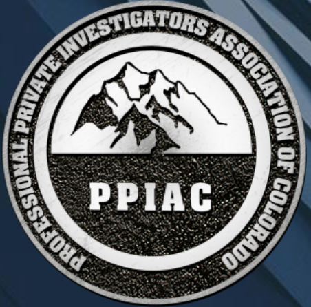 Private Investigators Process Service Professional Investigator