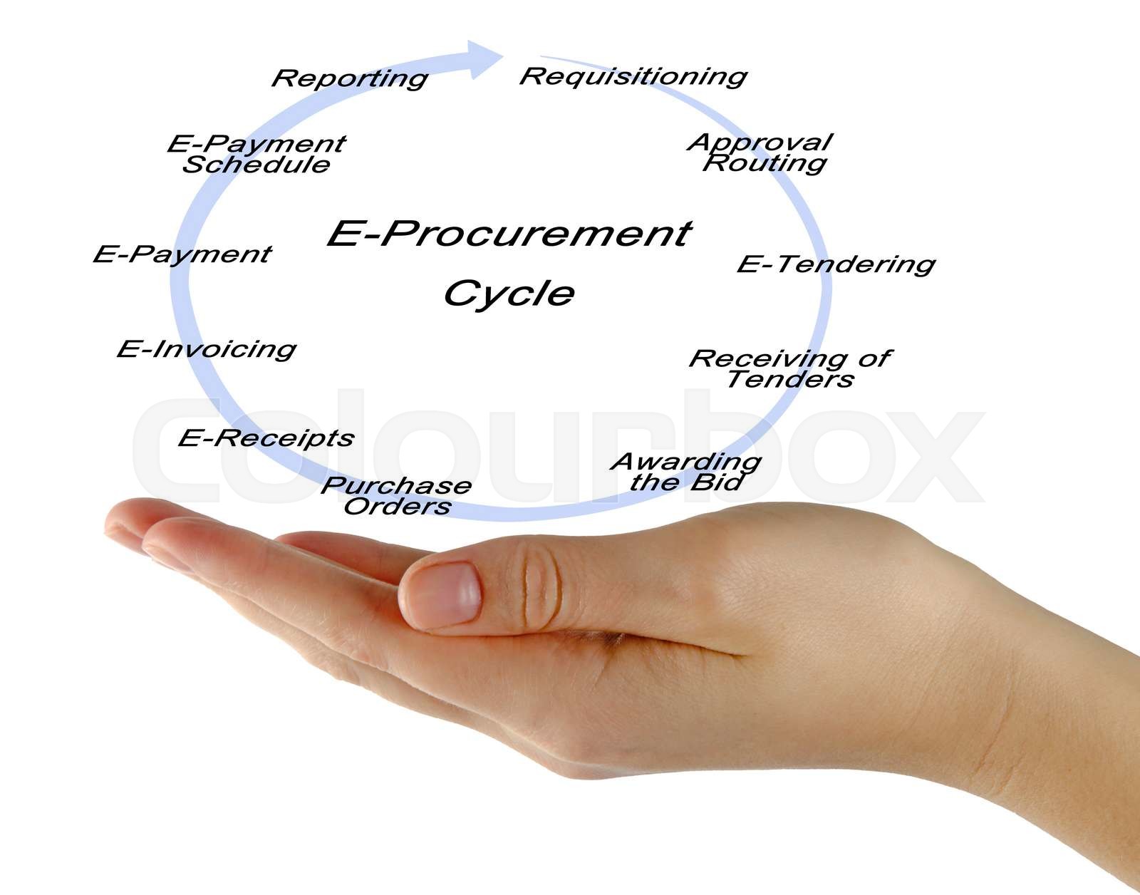 Procurement Cycle Definition Amp 7 Step Guide