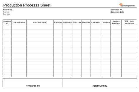 Production Process Sheet Format