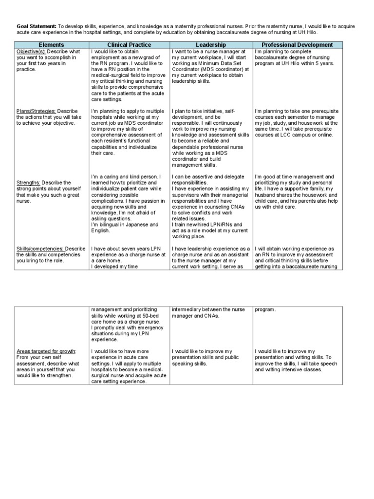 Professional Development Plan Nursing Essay At Thomas Holifield Blog