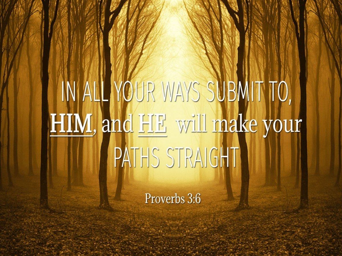 Proverbs 3 6 1 Niv In All Your Ways Submit To Him Bible Verse Wall Ar