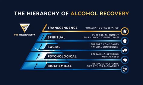 Quitting Alcohol Timeline Body Repair After Quitting Drinking Fit