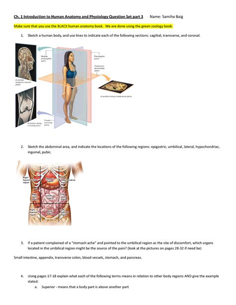 Quizlet Chapter 9 Anatomy And Physiology