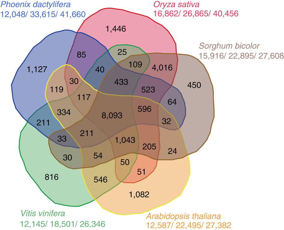 R Nice Looking Five Sets Venn Diagrams Stack Overflow