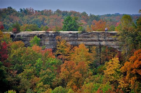 Red River Gorge Ky Red River Gorge Natural Bridge Daniel Boone National Forest