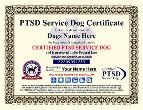 Registered Service Dog Certificate Official Service Dog Paperwork Certificate Lupon Gov Ph