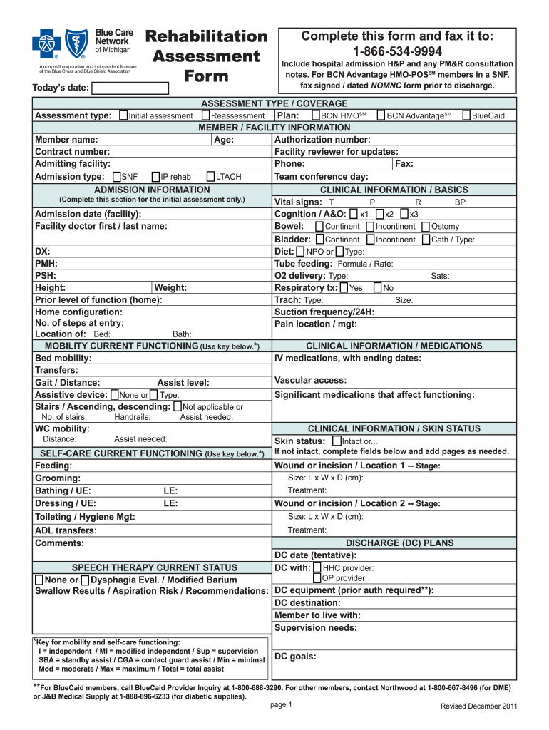 Rehab Assessment Form 2020 2021 Fill And Sign Printable Template