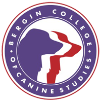 Request A Dog Bergin College Of Canine Studies