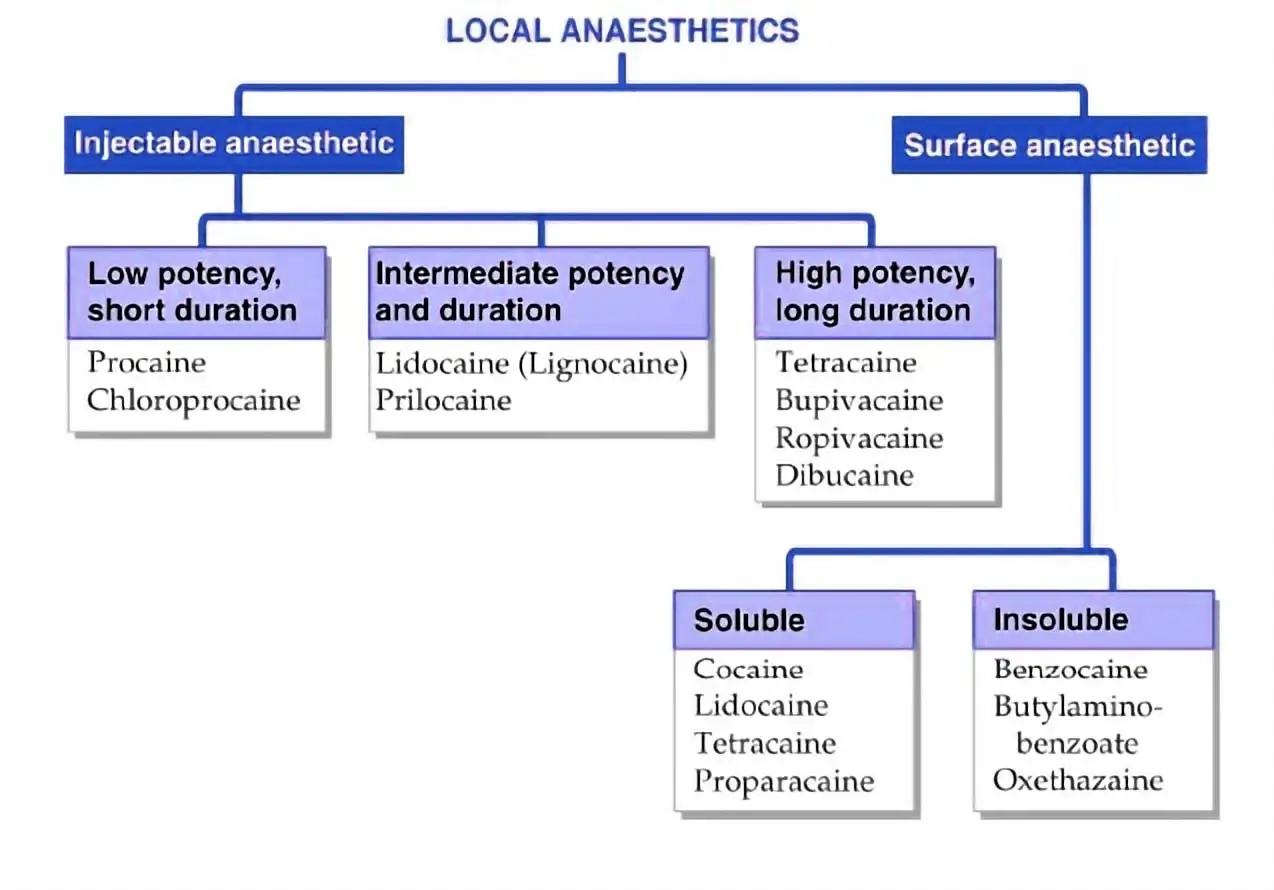 Requirements And Procedures For The Creation Conversion And Classification Of Local Government