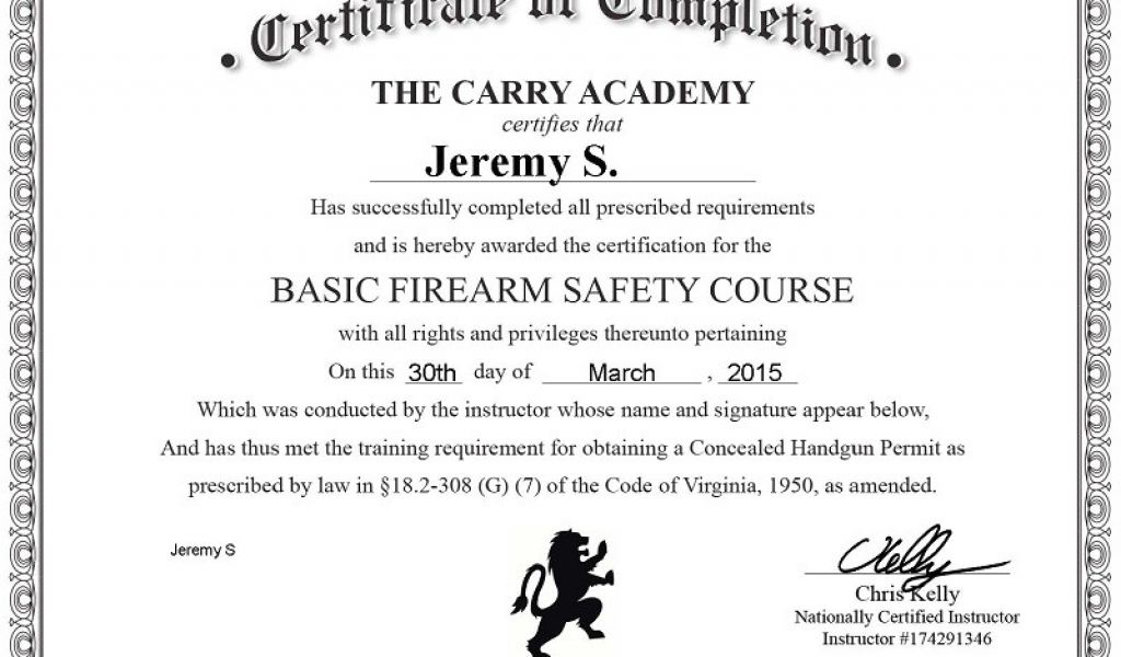 Review The Carry Academy S Online Ccw Safety Course The Truth About Guns