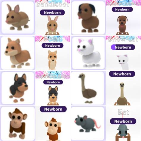 Roblox Adopt Me Pets Common Rare Shopee Malaysia