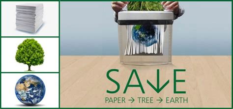 Save Paper Save Our Trees The Global Scholars