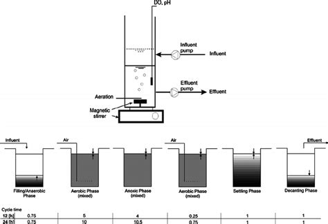 Schematic Of The Sbr With Specified Phases Of The Process Download