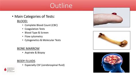 Science Behind A Cbc Understanding Your Bloodwork Youtube