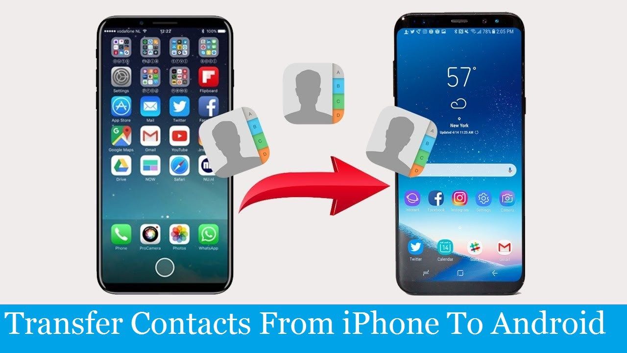 See How To Transfer Contacts From Iphone To Android With This 5 Steps Transfer Your Contacts