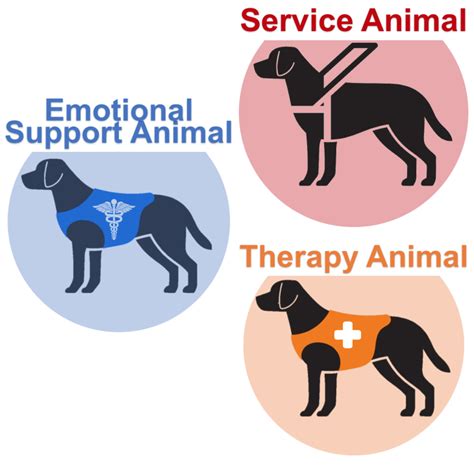 Service Animal Emotional Support Animal Esa Therapy Animal