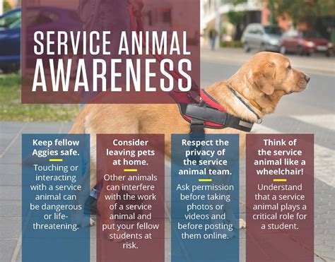 Service Animal Etiquette Disability Resources