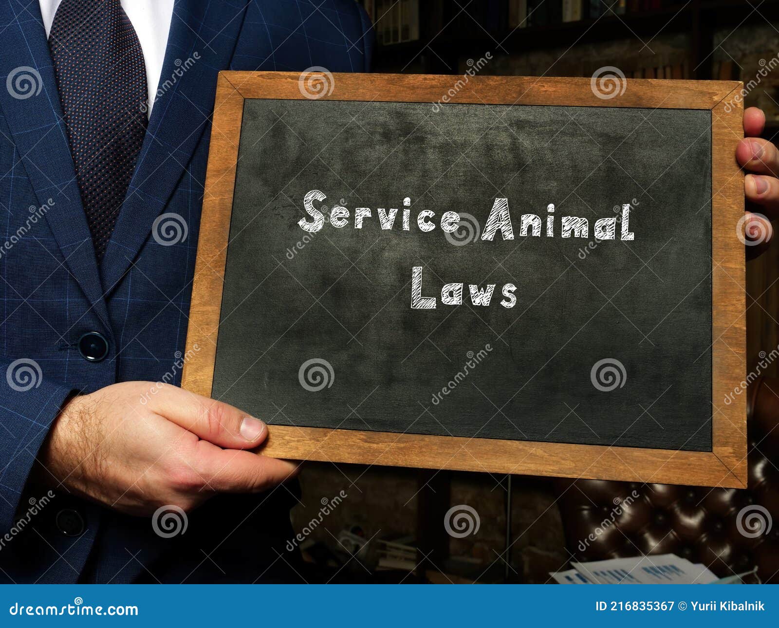 Service Animal Laws Phrase On Chalkboard Stock Image Image Of Defense