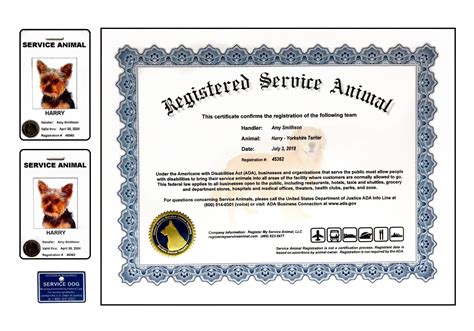 Service Animal Paperwork Template