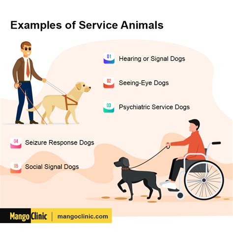 Service Animals And The Ada What Types Of Animals Are Covered Youtube