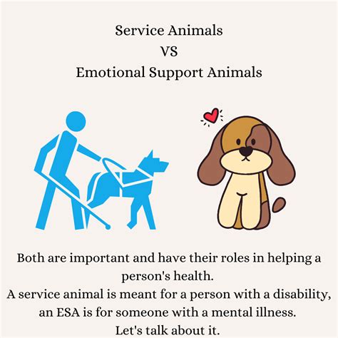 Service Animals Vs Emotional Support Animals The George Anne Media Group