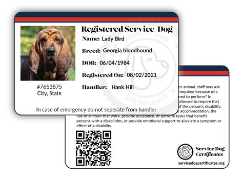 Service Dog Certificate Id Card Letter Registration Service Dog Certificates