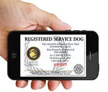 Service Dog Certification Workingservicedog Com