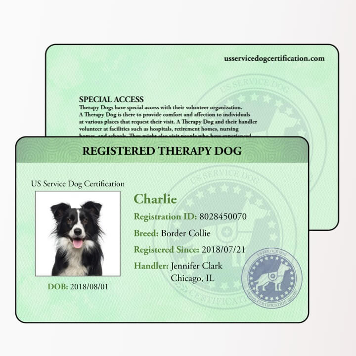 Service Dog Digital Package Us Service Dog Certification