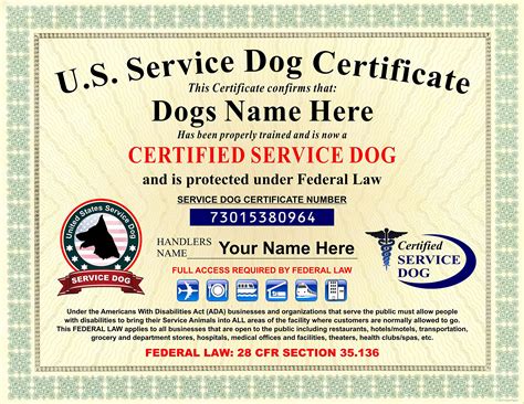 Service Dog Document Kit Ubicaciondepersonas Cdmx Gob Mx