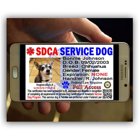 Service Dog Ecert Smartphone Id Service Dog Certification Of America Sdca