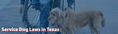 Service Dog Laws In Texas Texas Humane Legislation Network