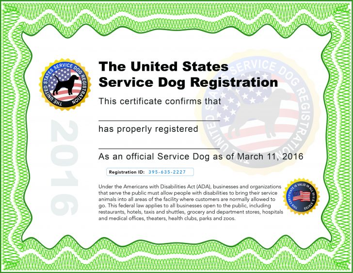 Service Dog Printable Certificate