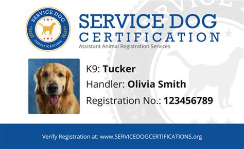 Service Dog Requirements Service Dog Certifications