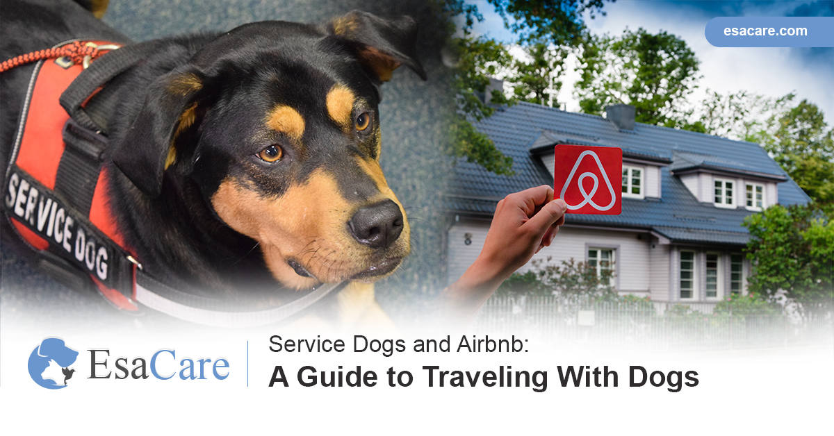 Service Dogs And Airbnb A Guide To Traveling With Pets Esa Care