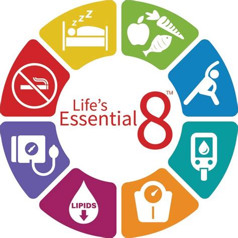 Seven Essentials Healthy Living