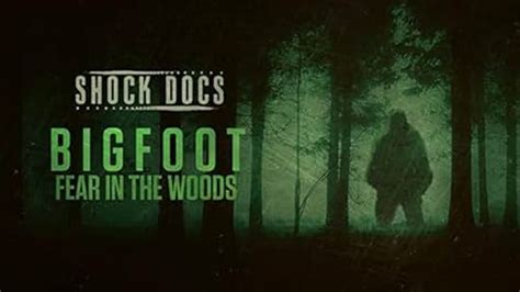 Shock Docs Bigfoot Fear In The Woods Episodio De Tv 2020 Imdb