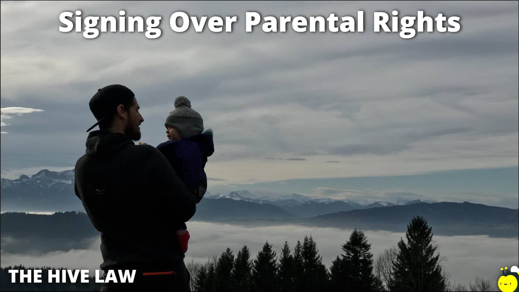 Signing Over Parental Rights Forms The Hive Law