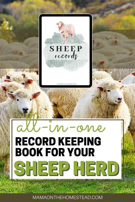 Simplified Sheep Record Keeping Recorded Books Pet Sheep Sheep