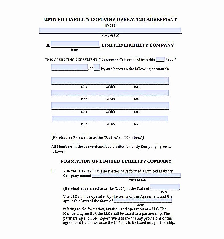 Single Member Llc Business Loan For A Massive Amount 5 Steps To