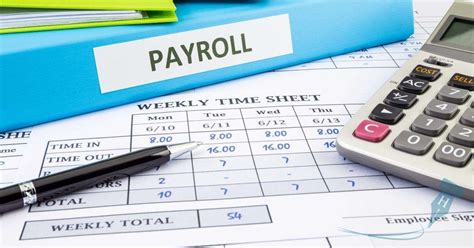 Small Business Payroll Pay Pay As You Earn Scheme Director S Pay