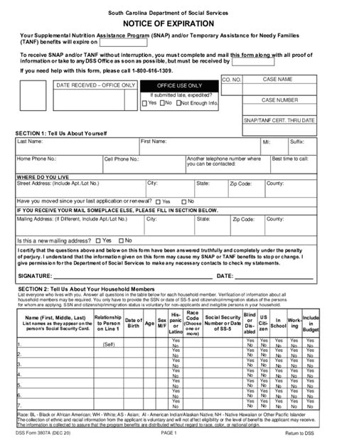 Snap Columbia Sc Form Fill Out Printable Pdf Forms Online