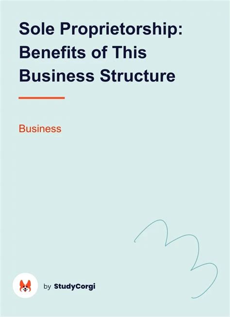 Sole Proprietorship As Recommended Business Structure Essay Example Free