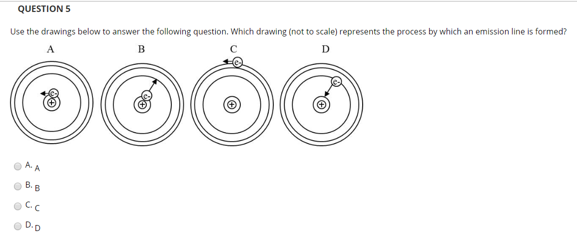 Solved Use The Drawing Below To Answer The Following Chegg Com