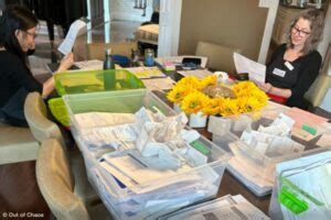 Sorting Paperwork The Basic Steps Out Of Chaos Professional