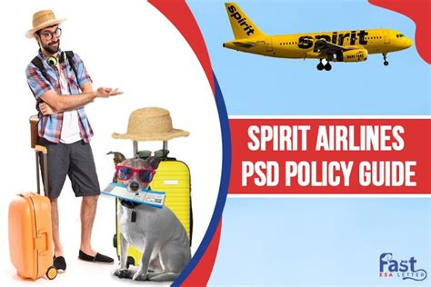 Spirit Airlines Psd Esa Policy Guide Fast Esa Letter