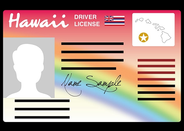 Stand By Service Available To Renew Driver S Licenses Or State Ids