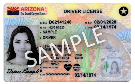 Steps To A First Time Commercial Driver License Department Of