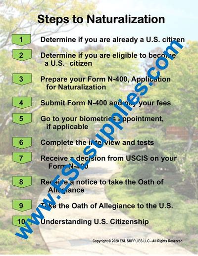 Steps To Naturalization Citizenship Poster Civics Anchor Chart Esl