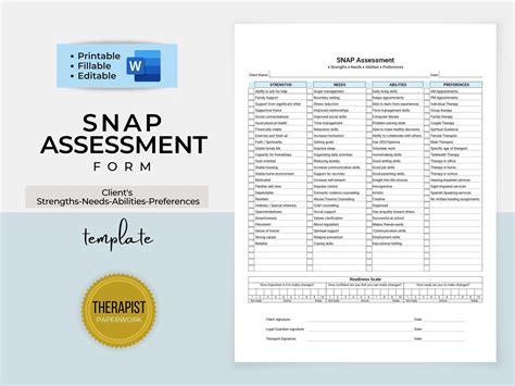 Strengths Needs Abilities Preferences Assessment Template Fillable