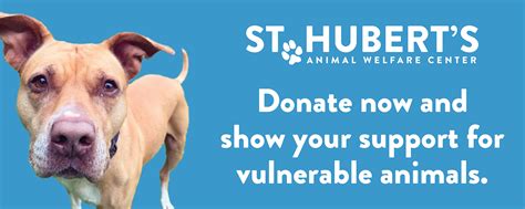 Support Us St Hubert S Animal Welfare Center